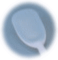 �V���R���̃X�v�[���ւ�^��ォ��